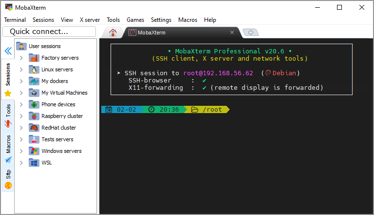 Tabbed terminal with session tree and X11-forwarding status